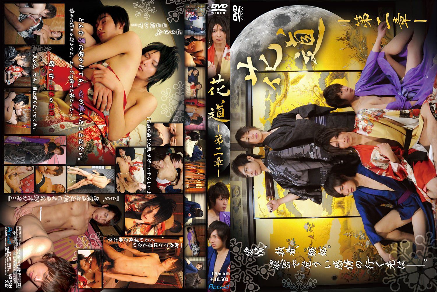 花道 ー第二章ー 复古怀旧-第2张