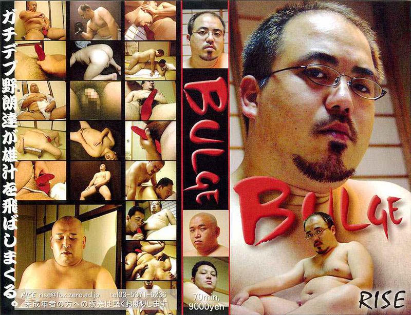 BULGE 中年胖熊-第1张