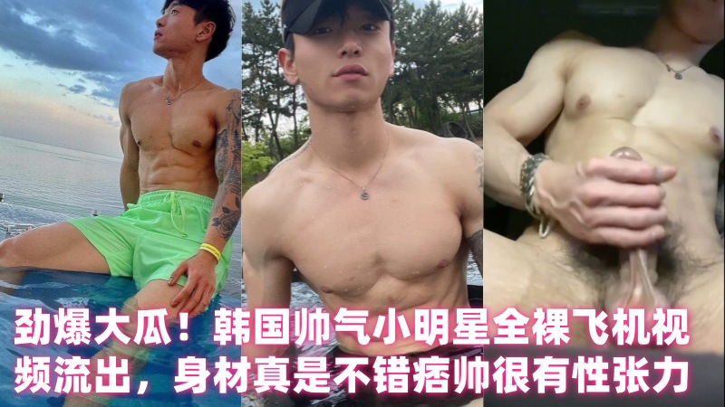 劲爆大瓜！韩国帅气小明星全裸飞机视频流出，身材真是不错痞帅很有性张力 国产免费-第1张